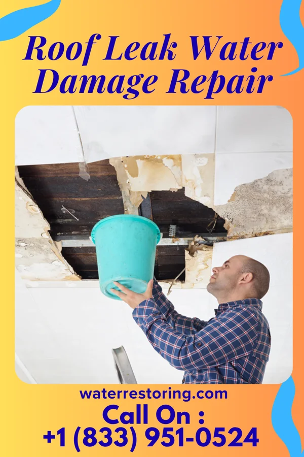 Roof Leak Water Damage Repair in Sparks, NV